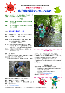 小下沢の渓流ジャブジャブ歩き - 森林インストラクター東京会