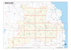 岩泉町全体図