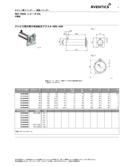 ISO 15552, シリーズ ICL クレビス取付用の非回転式アクスル AB6, AA6