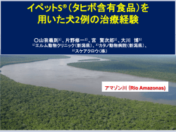 論文をPPTで見る