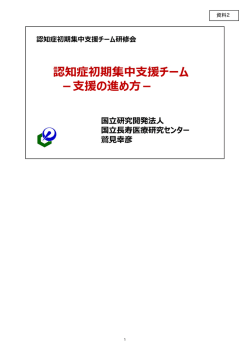 初期集中支援チームー支援の進め方ー（PDF：7745KB）