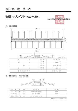 規格表 AIジョイント AIJ-20-01 AIJ-30-01