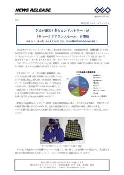 PDFファイルダウンロード - 株式会社ゲオホールディングス