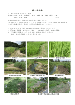 根っ子の会 - 根木内歴史公園サポーター