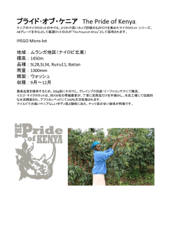 プライド・オブ・ケニア The Pride of Kenya