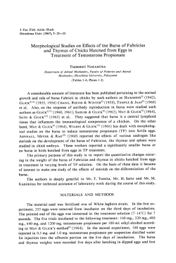 Morphological Studies on Effects of the Bursa of Fabricius and