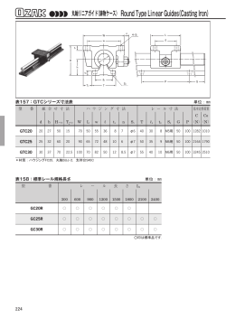 Round Type Linear Guides（Casting Iron）