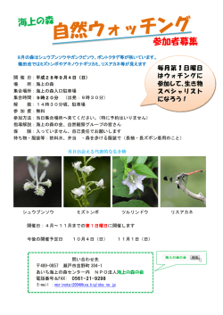 自然ウォッチング