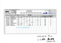 IREメ