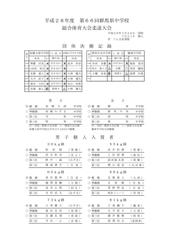 28年度 県総合体育大会結果（団体・個人）