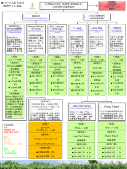 ベトナムビジネス 販売チャンネル