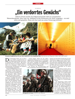 21/Schweiz (Page 178)