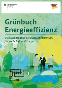 Gr&uuml;nbuch Energieeffizienz