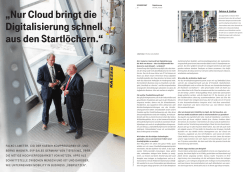 Dieser Artikel im PDF-Format - T