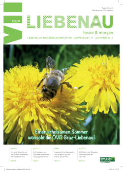 Einen erholsamen Sommer w&uuml;nscht die &Ouml;VP Graz
