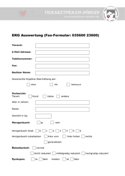 EKG Auswertung (Fax-Formular: 035600 23600)