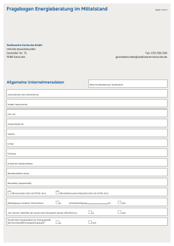 Fragebogen Energieberatung im Mittelstand