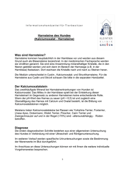 Harnsteine des Hundes - Kleintierklinik Greven