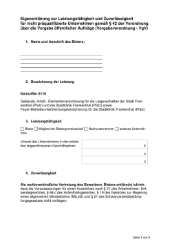 Eigenerkl&auml;rung zur Leistungsf&auml;higkeit und