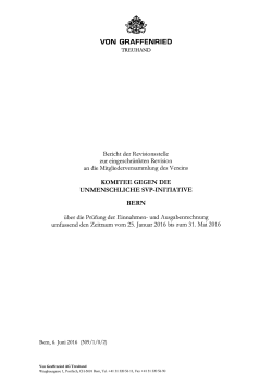 Revisionsbericht