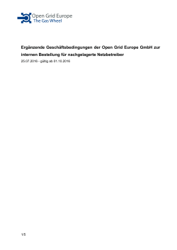 Ergänzende Geschäftsbedingungen der Open Grid Europe GmbH