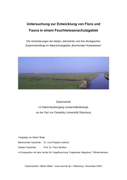 (Naturschutzgebiet Bornhorster Huntewiesen).