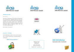 DSB Flyer Online-Backup