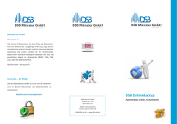 DSB Flyer Online-Backup