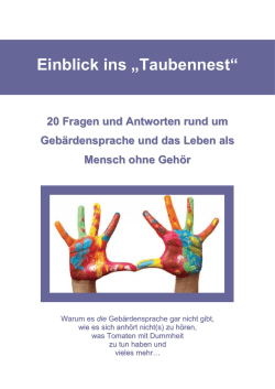 Einblick ins &bdquo;Taubennest&ldquo; - Stadtverband Essener