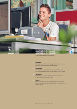 Jobprofil Applikationsbetreuer