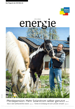 Pferdepension: Mehr Solarstrom selber genutzt Seite 8