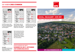 Sie haben Drei Stimmen - SPD