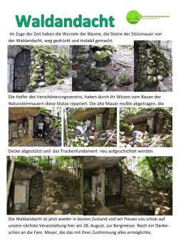 Im Zuge der Zeit haben die Wurzeln der B&auml;ume, die Steine der