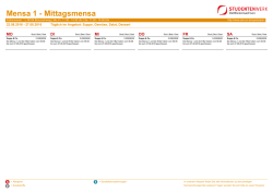 mittags als PDF