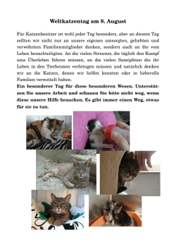 Weltkatzentag am 8. August - Tierschutzverein Kirchheim uT