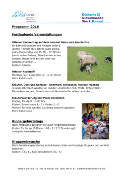 Flyer Lernhof Programm 2016