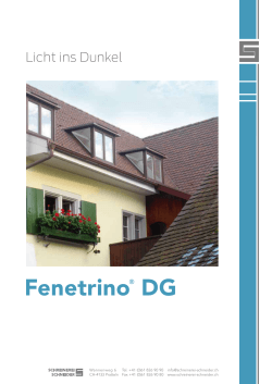 Fenetrino® DG - Schreinerei Schneider AG