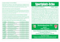 Sportplatz-Echo - Schönbacher FV