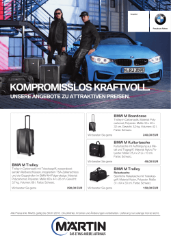 BMW Travel