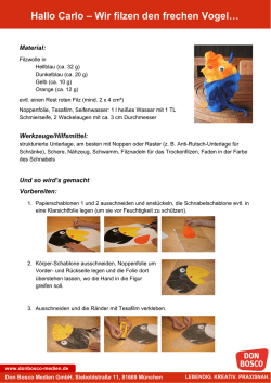 PDF: Filzanleitung Handpuppe Carlo