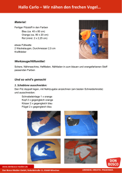PDF: N&auml;hanleitung Handpuppe Carlo