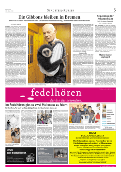 der die das Besondere