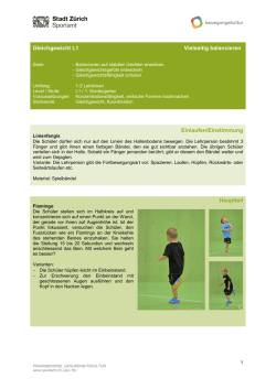 Gleichgewicht L1 Vielseitig balancieren Einlaufen/Einstimmung