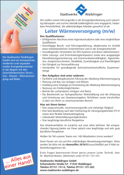 LeiterIn Waermeversorgung