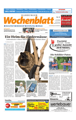 Ein Heim f&uuml;r Flederm&auml;use