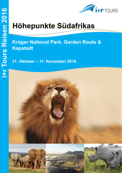 i+r_S&uuml;dafrika_2016 (982,5 KiB)