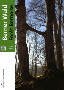 BernerWald_1_2016 – internet - Berner Wald – Forêt Bernoise