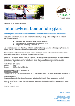 Flyer Leinenführigkeit