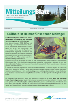 Juli 06/2016 - Bad Windsheim