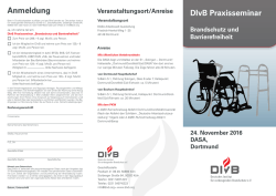 DIvB Praxisseminar